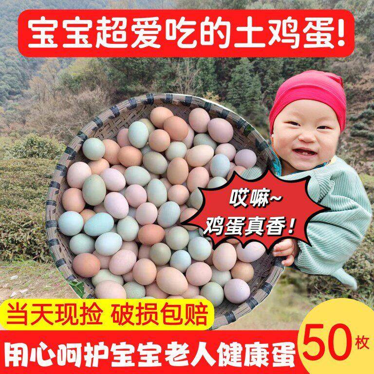 九华山正宗农家山林散养新鲜土鸡蛋绿壳乌鸡蛋组合孕产妇宝宝滋补