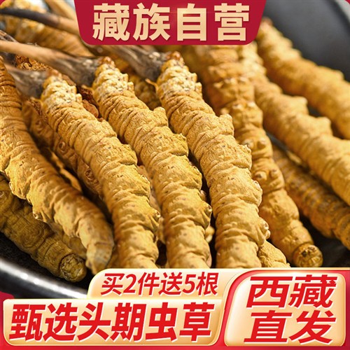 【藏族直营】西藏官方旗舰店冬虫夏草新鲜虫草正品那曲鲜草礼盒装