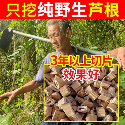 爷爷深山纯野生芦根500g中药材新鲜藕节汤小孩流鼻血芦苇根白茅根