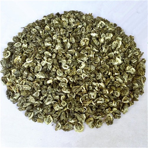 2025年新茶广西横县茉莉花茶叶茉莉小玉螺王500g袋装 浓香型