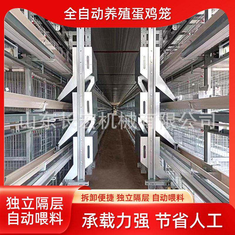 肉鸡A型笼蛋鸡笼鸽子笼养殖场层叠式养鸡设备肉鸡H型笼养殖鹌鹑笼