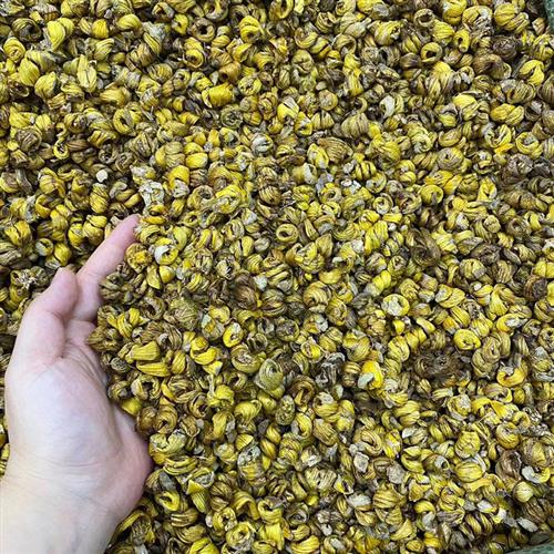 正品云南高山毛兰金石斛颗粒枫斗非铁皮干条特级煲汤材料500/250g