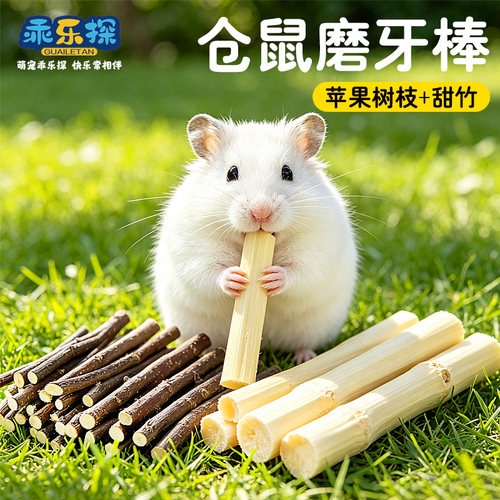 乖乐探仓鼠晒干苹果树枝磨牙棒