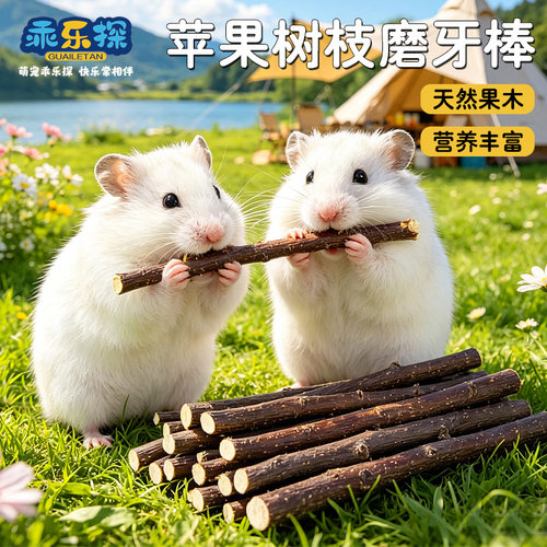 乖乐探仓鼠兔子磨牙棒苹果枝耐磨