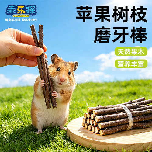 乖乐探仓鼠磨牙天然苹果树枝甜竹
