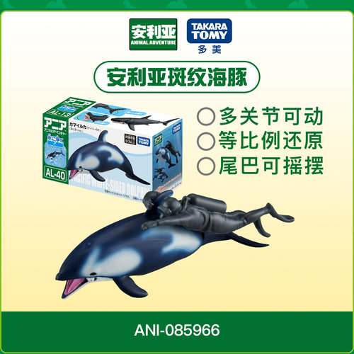 Ania安利亚海洋动物斑纹海豚