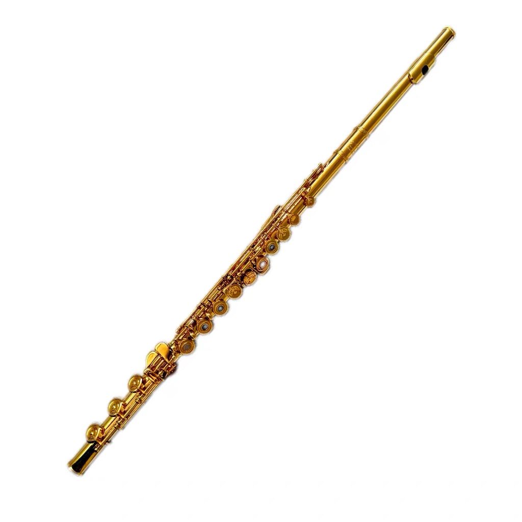 长笛17孔B尾开闭两用镀金成人专业考级乐器