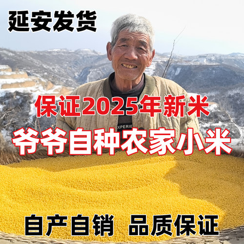 延安小米农家小米2025新米