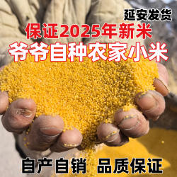 5斤黄小米2025农家小米新米延安小米粥小黄米陕北小米延安特产