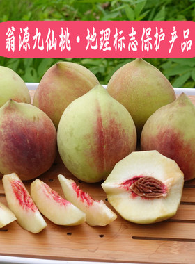 【广东翁源九仙桃】正宗脱核脆甜蜜桃子新鲜采摘水果粤北特产礼盒