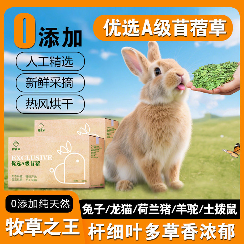 三丁兔兔主粮苜蓿草烘干紫花牧