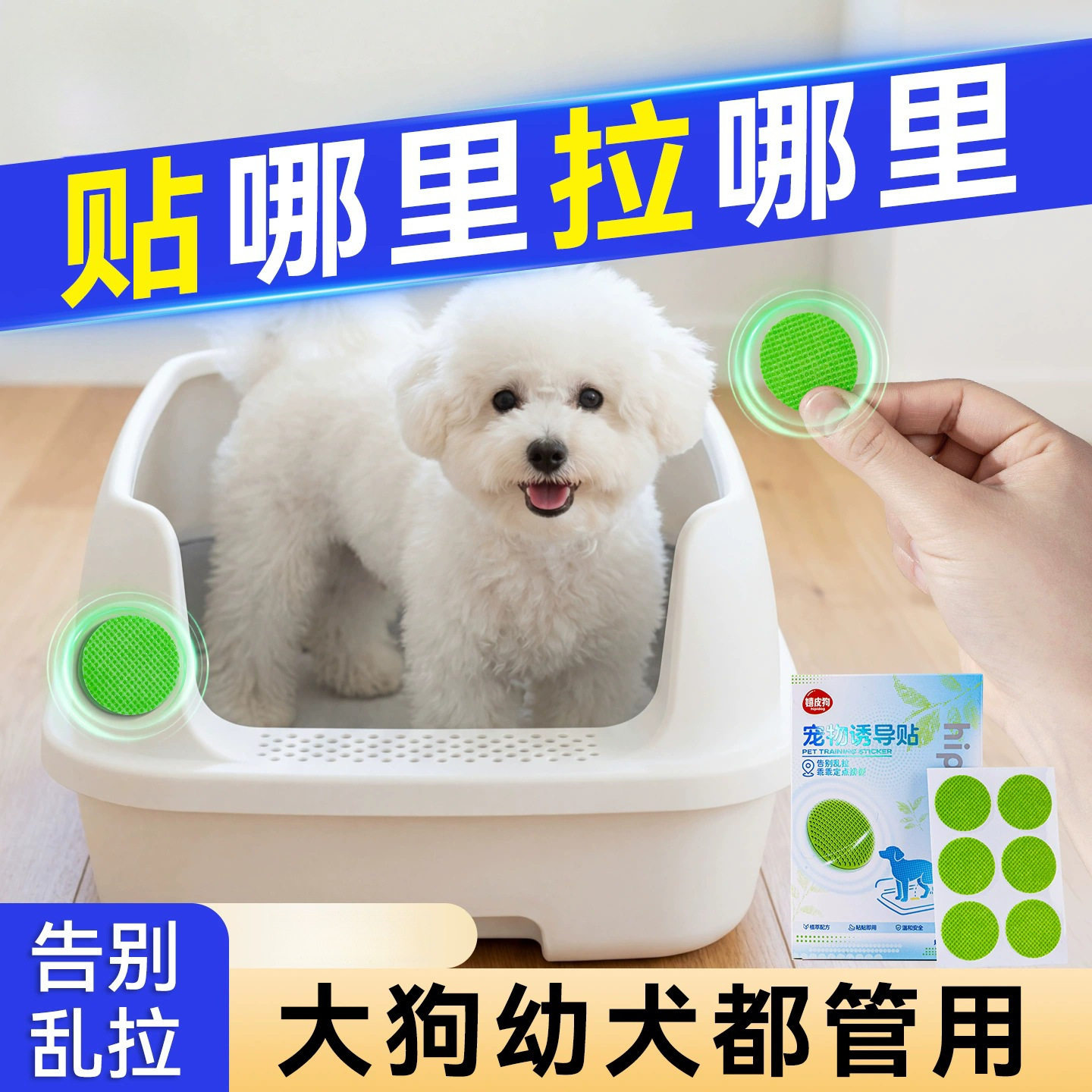 中牧狗情绪管理剂狗狗上厕所引