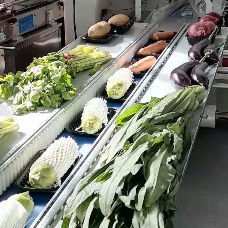 全自动蔬装机 生鲜叶菜科泽保鲜菜套袋机 蔬水菜果自动打包包机厂