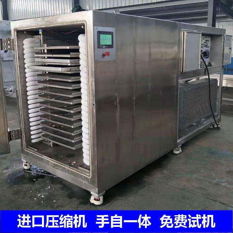 杨梅真空冷冻冻干机果蔬脆片升华干燥设备水果食品冻干机