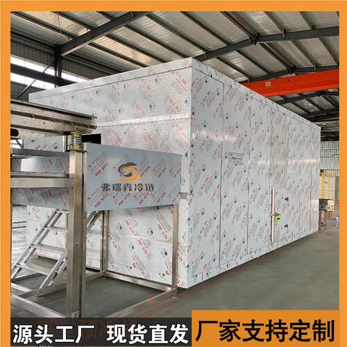连续式水果速冻机全自动隧道式速冻机毛豆流态化速冻机
