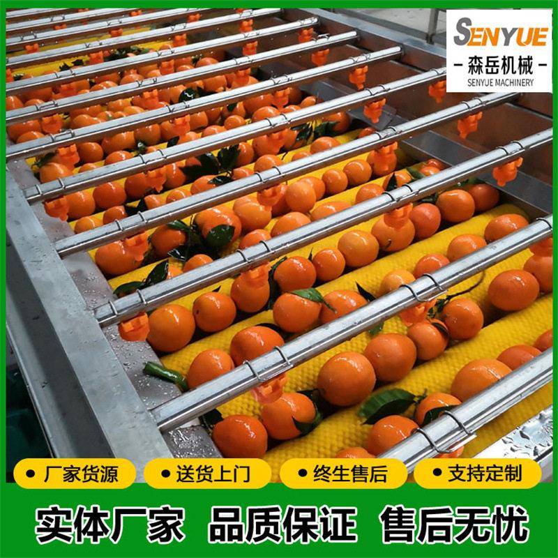 新会柑橘清洗抛光机滚筒选果机304不锈钢水果毛刷清洗风干一体机