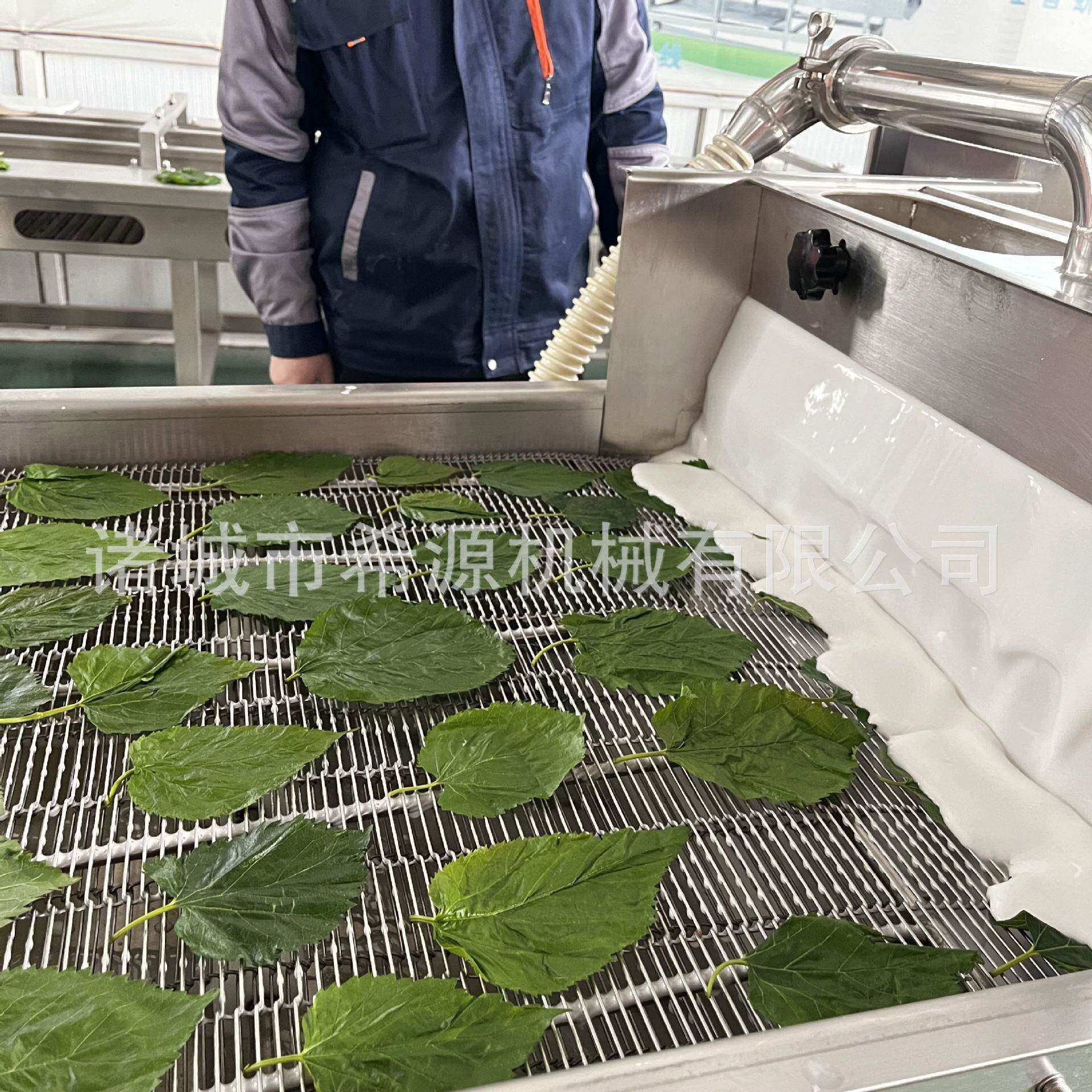 多功能希源麻淋设备浆连续式枣饼干淋糖稀上浆 机 鳕鱼排全自动浸