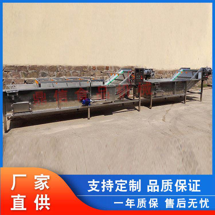 定制 玉米清洗生产厂家 全自动棒玉米加工设米备鼎信 速冻玉清洗