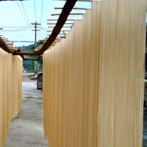 供应CL-MT260面条机 厂面机 自动挂上杆挂面机 家指直销 价格优惠