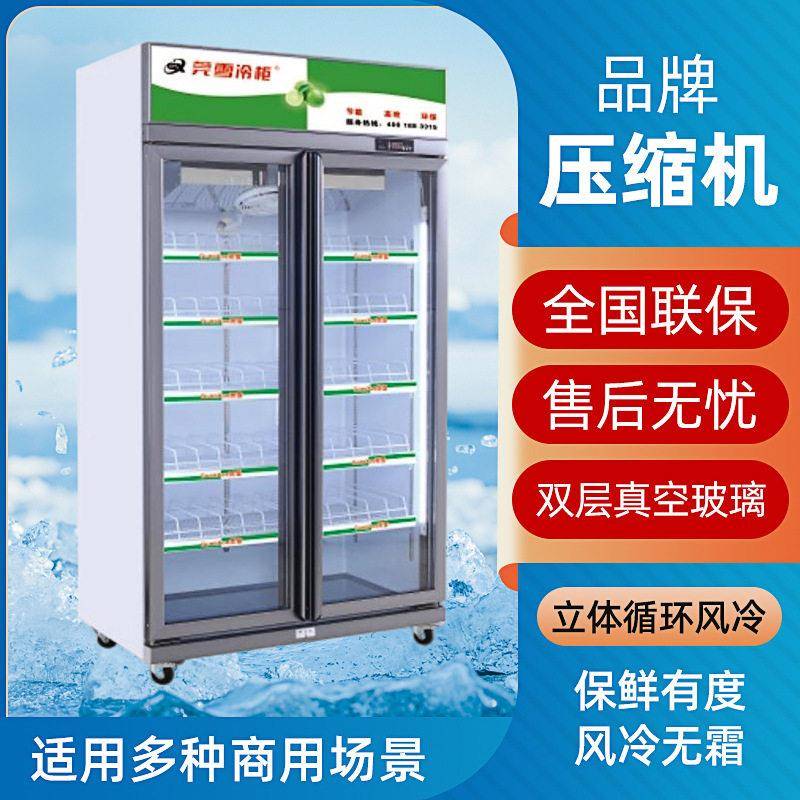 冷藏展示柜啤酒饮料保温水柜立式保鲜便利店超市商用风冷冰箱