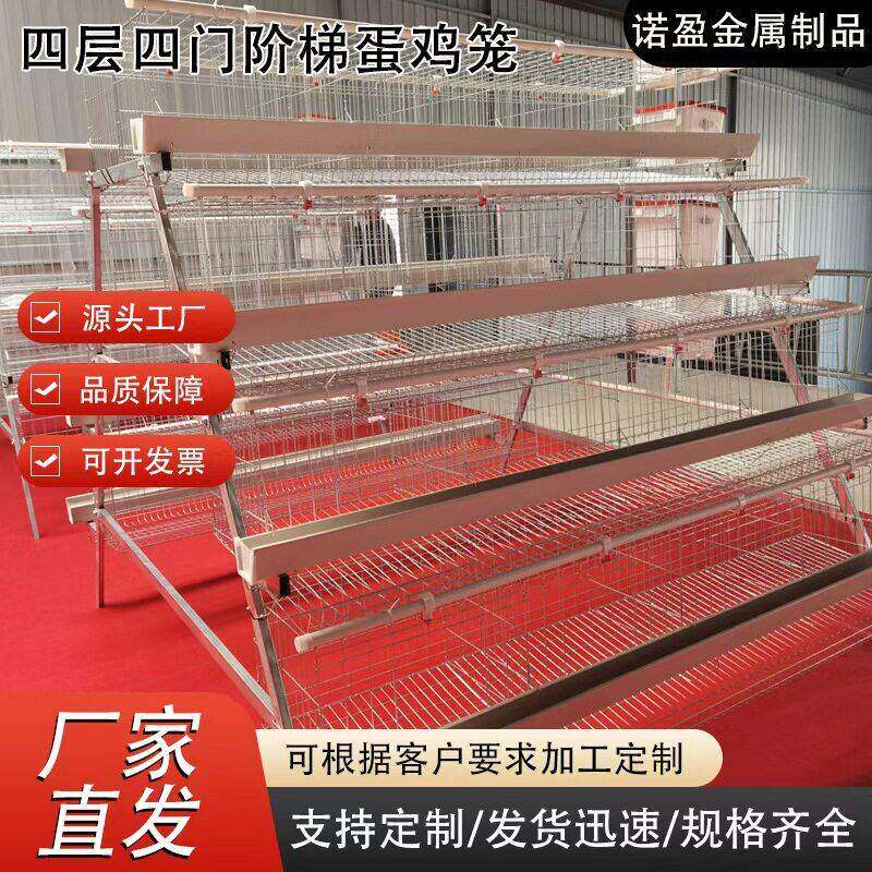阶梯式鸡笼产蛋结构四层四门肉鸡笼大型禽类养殖场自动养殖蛋鸡笼