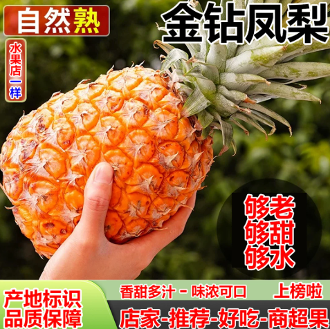 【下单立减50】(树上熟）海南金钻凤梨皮薄多汁新鲜现摘