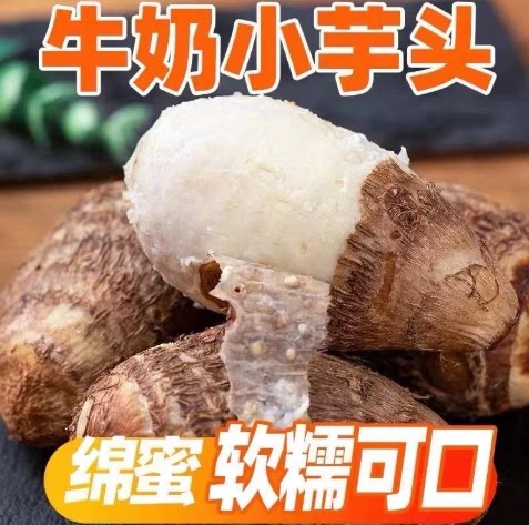 【下单立减50】精品牛奶小芋头中果农家自种毛芋头牛奶软糯粉芋头
