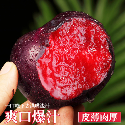 【下单立减50】智利红肉凤凰李子脆甜多汁果香浓郁新鲜李子恐龙蛋
