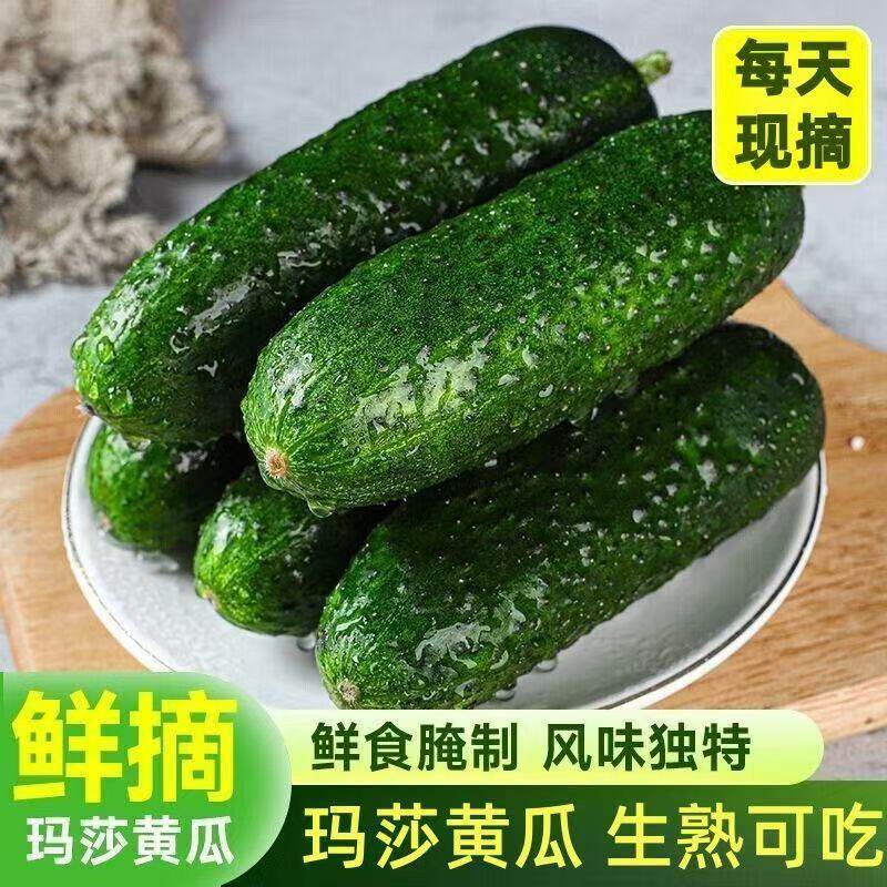 【下单立减50】山东新鲜玛莎水果黄瓜现摘小黄瓜脆嫩美味产地直发