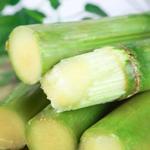 【下单立减50】陶山甘蔗去节果肉 青皮甘蔗 新鲜水果