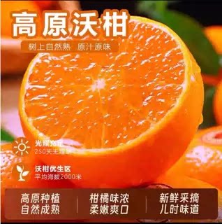 【下单立减50】沃柑当季新鲜水果香甜柑橘采摘皮薄多汁