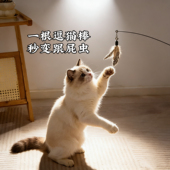 CFA猫咪逗猫棒长杆弹簧款 斑点羽毛可替换头耐抓耐咬成猫幼猫玩具