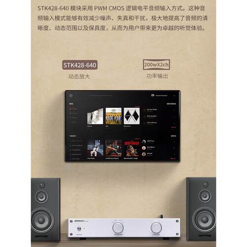 热级大功率家用功率放大器厚膜D型Pa-428Pro