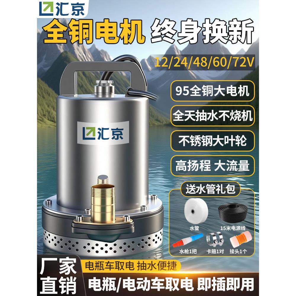 电动车水泵蓄电池车专用灌溉农业直流潜水泵48V60V