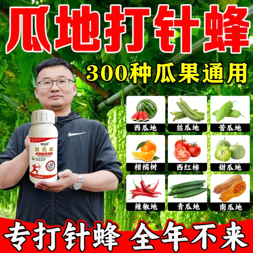 瓜果招果蝇产卵，一喷减少落果