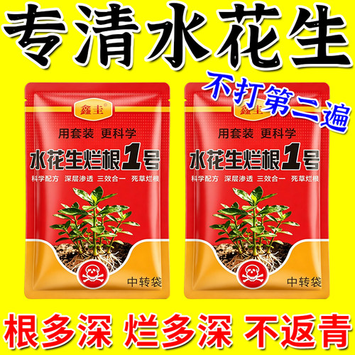 净化水花生丛生，从根腐