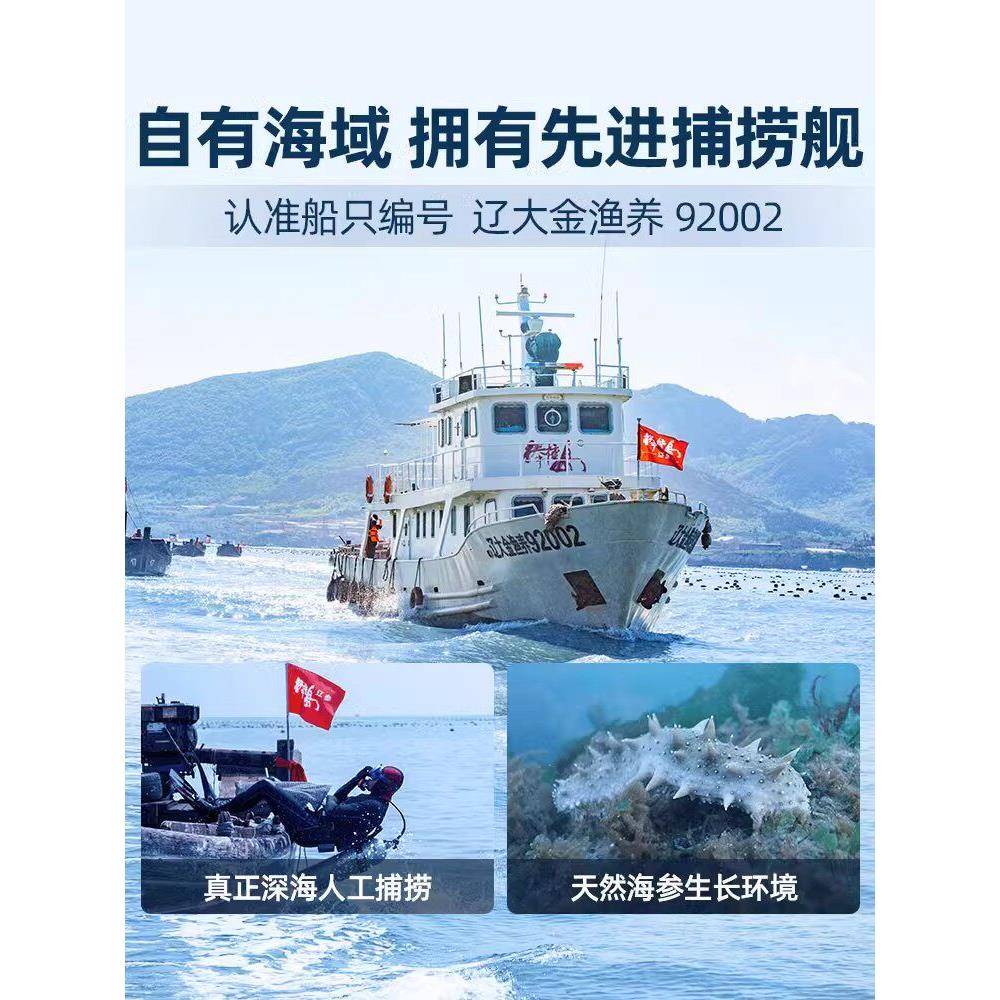 棒棰岛海参大连底播非即食有机冷冻海参300g辽尝鲜装固形物≥85%