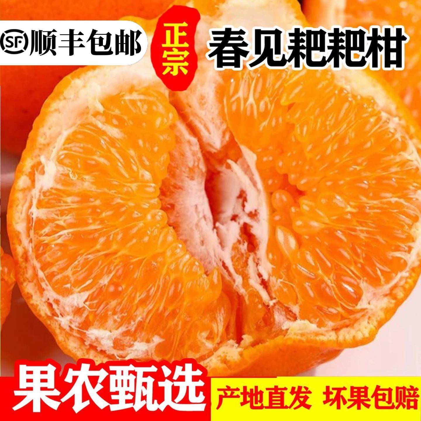 正宗四川春见耙耙柑当季丑桔子粑粑柑新鲜孕妇水果杷杷柑顺丰包邮
