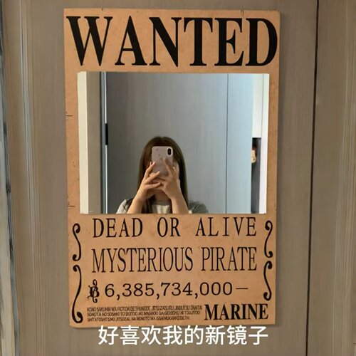 海贼王通缉令亚克力装饰墙贴