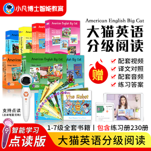书籍英文儿童读物 进口原版 大猫英语分级阅读Big Cat太空人点读笔