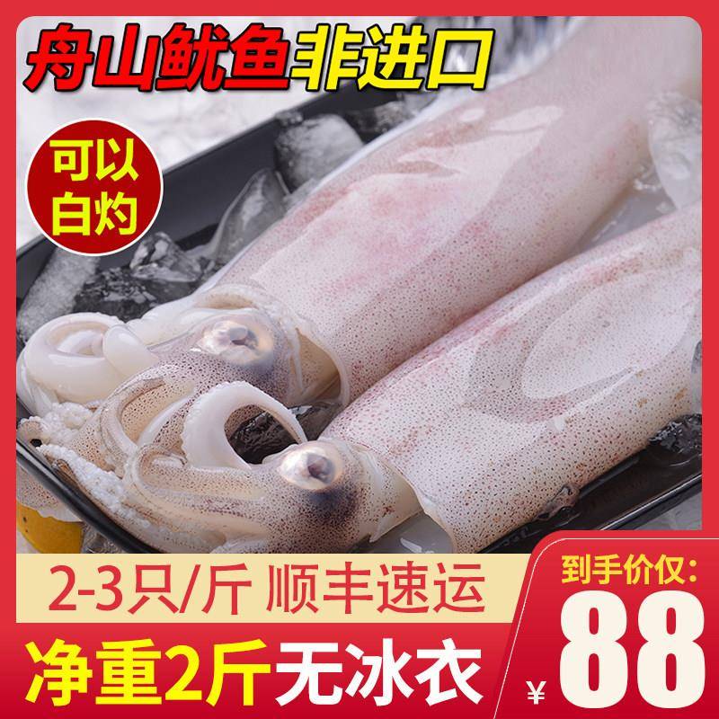 新鲜舟山鱿鱼鲜活冷冻生鲜大鱿鱼小笔管海鲜水产冻货商用2斤