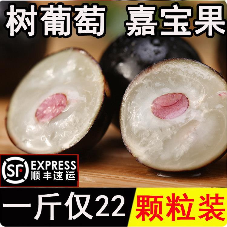 【老树更甜】嘉宝果新鲜水果大果树葡萄鲜果现摘孕妇加宝果整箱图片