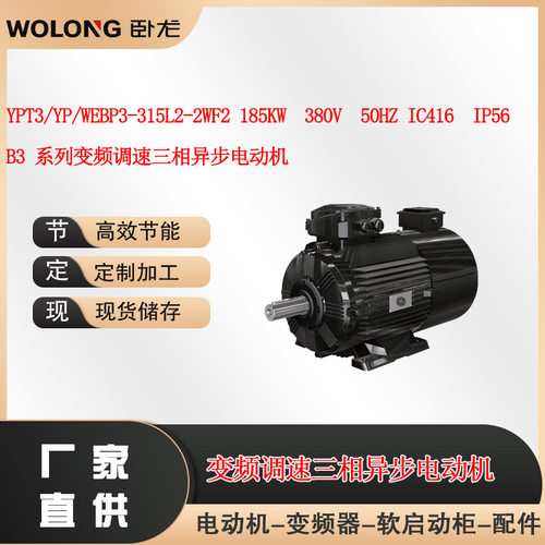YPT3/YP/WEBP3-315L2-2WF2 185KW  380V  50HZ IC416  IP56  B3