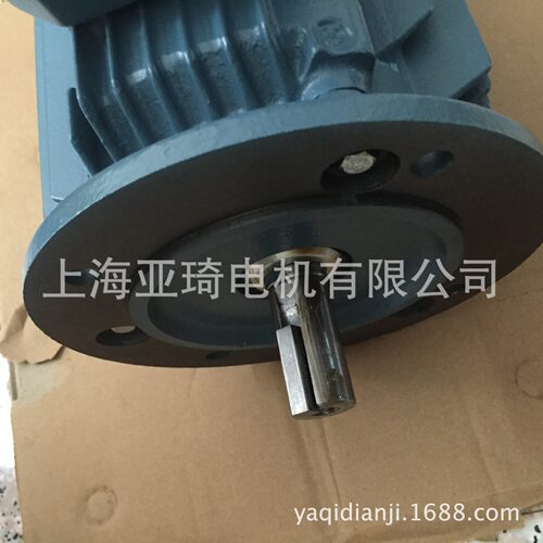 QABP100L4B-3KW-4-B5-IC416立式 变频电机