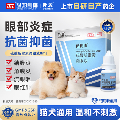 邦崽新霉素滴眼液治角膜炎猫狗用