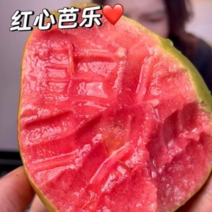 【下单立减50】广西软糯奶油红心番石榴新鲜水果