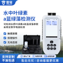 叶绿素a检测仪蓝绿藻分析水产养殖水质叶绿素a荧光测定仪