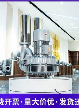 LRB-94S漩涡风机功率20kw25kw立式旋涡压风机