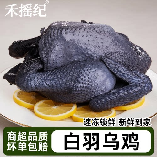 新鲜走地白凤乌骨鸡整只整箱