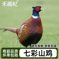 七彩山鸡1.5-2.5斤雉鸡野鸡土鸡柴鸡月子鸡新鲜活鸡现杀农家散养